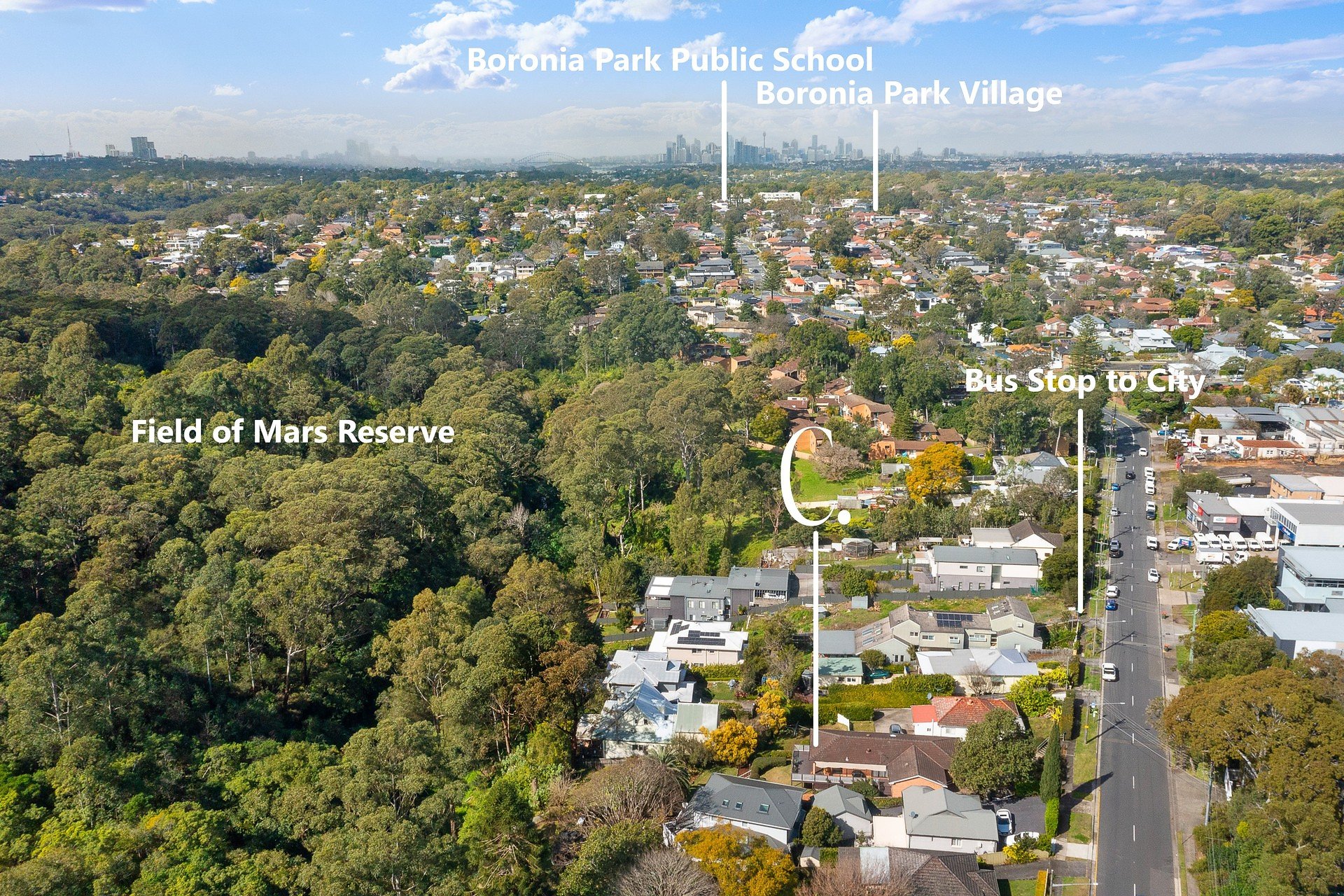 64 Higginbotham Road, Gladesville Auction by Cassidy Real Estate - image 1