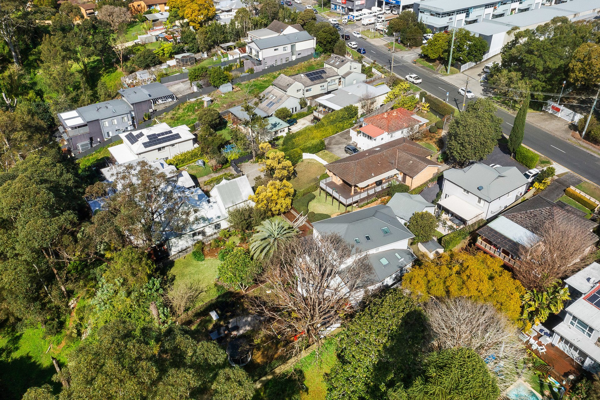 64 Higginbotham Road, Gladesville Auction by Cassidy Real Estate - image 1