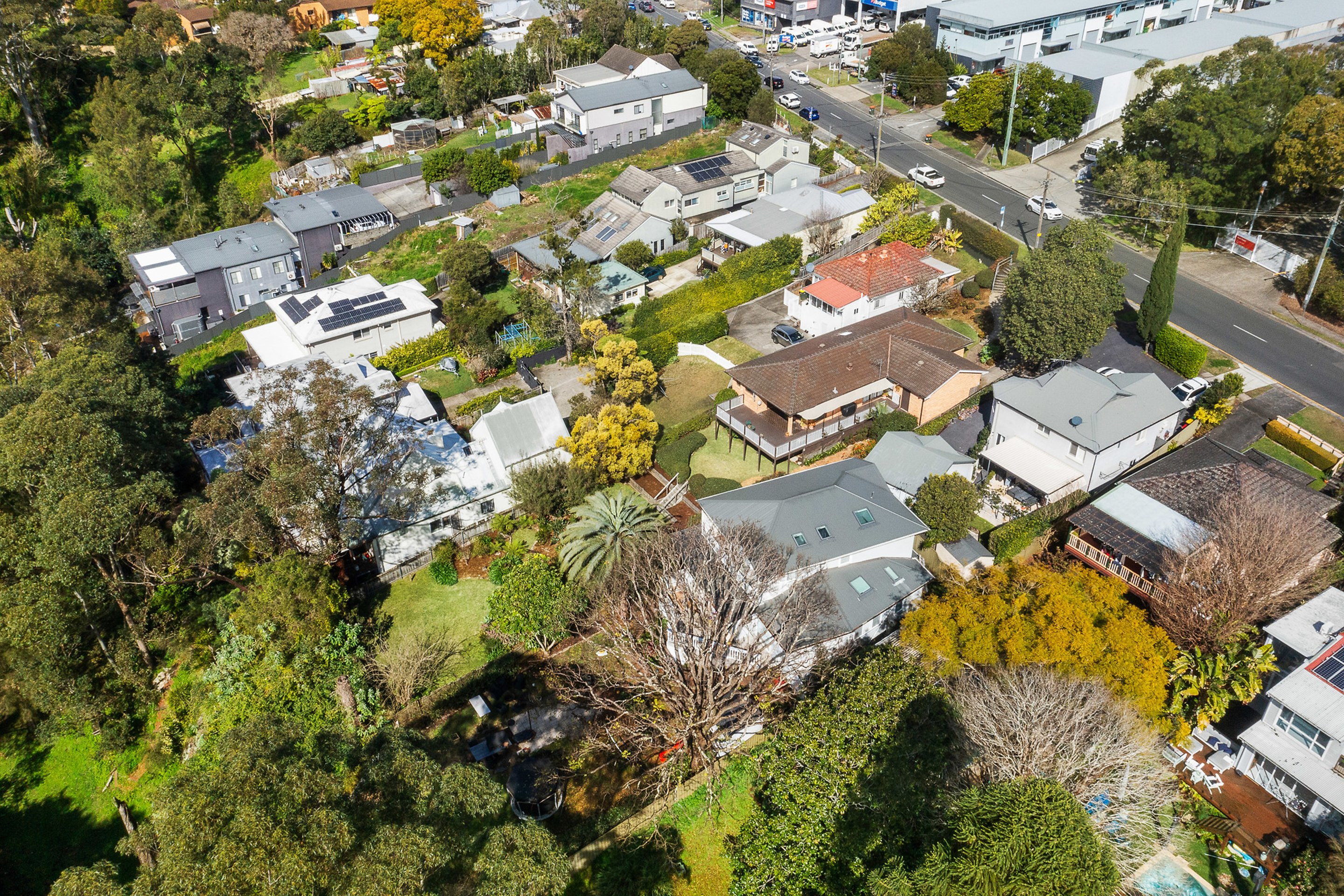 64 Higginbotham Road, Gladesville Auction by Cassidy Real Estate - image 1